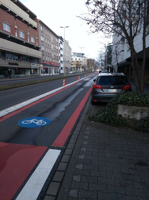 Parken neben einer Protected Bike Lane in Bonn