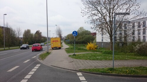 parking-on-bicycle-lane.jpg