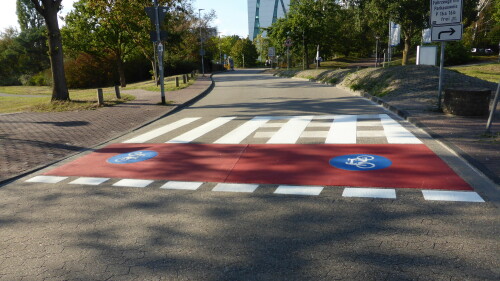 uni-klinik-dusseldorf-fahrrad-fussganger-zebrastreifen.jpg