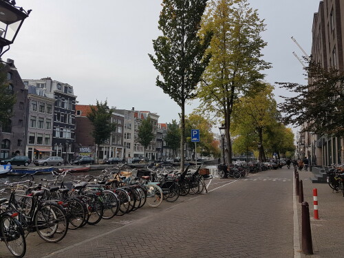 gracht-in-amsterdam-mit-ladezone-und-fahrradern.jpg