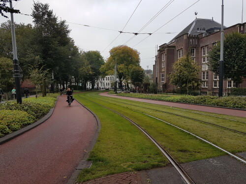 opnv-rad-fusstrasse-in-amsterdam-mit-rasengleis.jpg