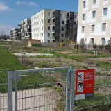 gemeinschaftsgarten-im-madame-dora-park-in-der-seestadt-aspern3