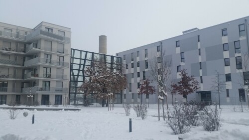 integration-einer-glasernen-larmschutzwand-in-die-gebaudestruktur.jpg