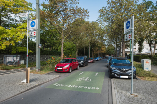 fahrradstrassenpiktogramm-darmstadt.jpg