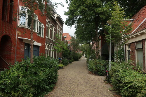 Idyllischer Wohnweg in Groningen mit dichtem Bewuchs.

Grote Appelstraat.
