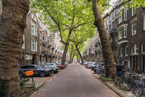 lomanstraat-amsterdam-strassenbaume-1.jpg