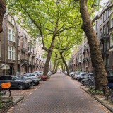 lomanstraat-amsterdam-strassenbaume-1