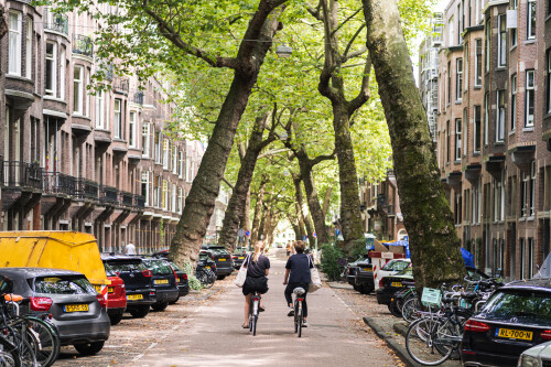 Lomanstraat Amsterdam Straßenbäume
