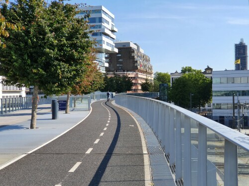 Die Moreelsebrug verbindet durch die Gleise des Utrechter Bahnhofes getrennte Stadtteile miteinander. Auf der Brücke gibt es neben einem Gehweg und einem Mittelstreifen mit Bäumen einen eigenen Radweg. An beiden Enden ist die Brücke jedoch nur mit Treppen und Fahrstühlen angebunden.