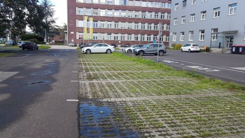 parkplatz-mit-rasengittersteine.jpg
