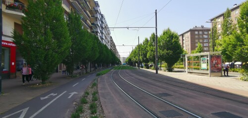Avenida_Gasteiz-strassenbahn-hauptstrasse-vitoria-gasteiz.jpeg