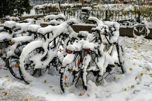 Bicycle traffic, Lichtentalerpark. Vienna. Photo 03.12.2023 (09.11 am)