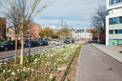 20250416_163831-Verbessert-RR-2.jpg