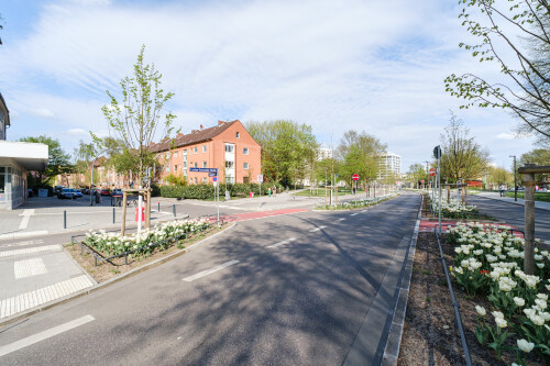 DSCF3181-2.jpg