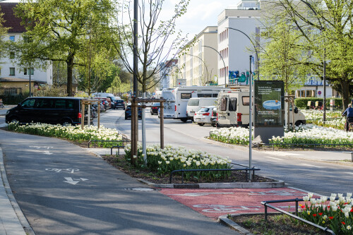DSCF3205.jpg
