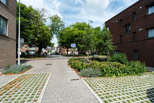 DSCF6958.jpg