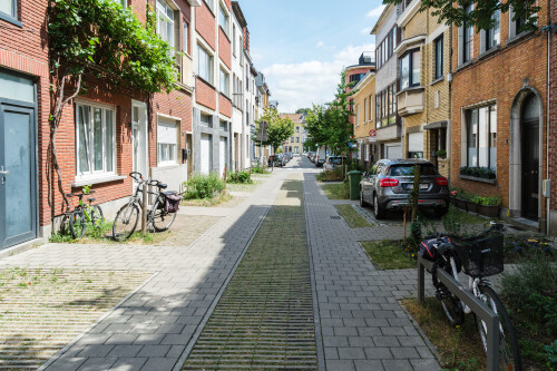 DSCF7047.jpg