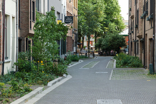 DSCF7178.jpg