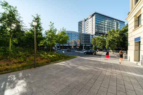 DSCF5960-HDR.jpg