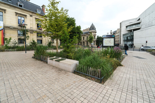 DSCF6128.jpg