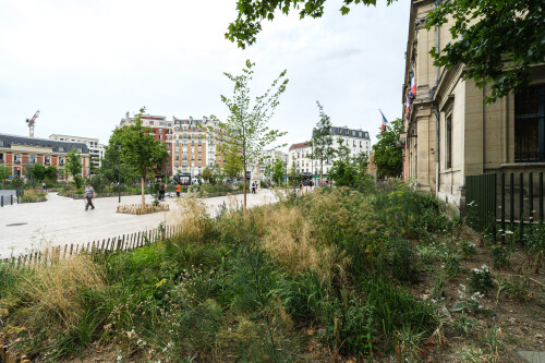 DSCF6141-Bearbeitet.jpg