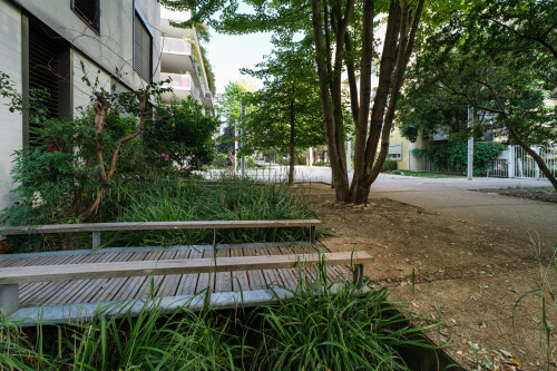 DSCF6507.jpg