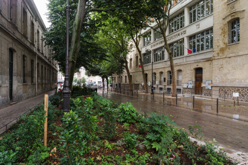 DSCF6584.jpg