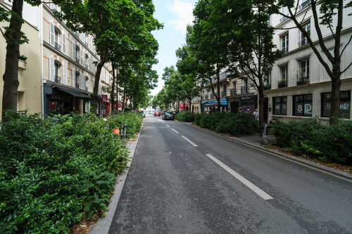 DSCF6750.jpg