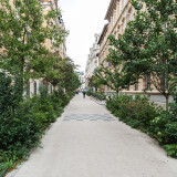 DSCF6766