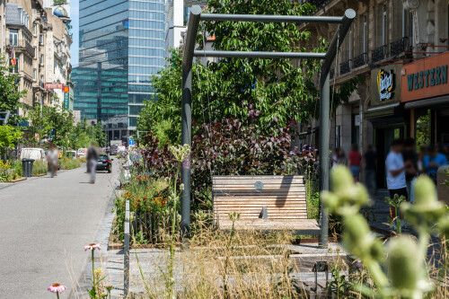 Brussel_Qimby-4.jpg