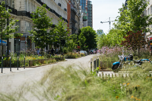 Brussel_Qimby-5.jpg