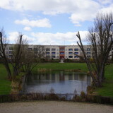 DSC00553-1
