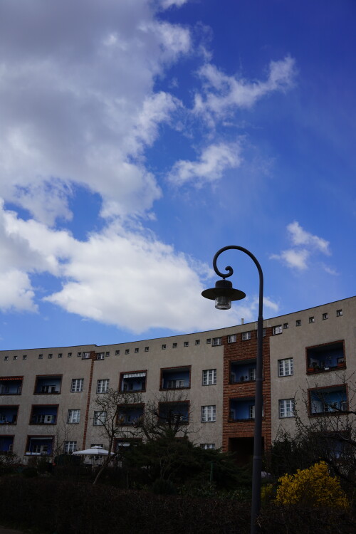 DSC00569-1.jpg