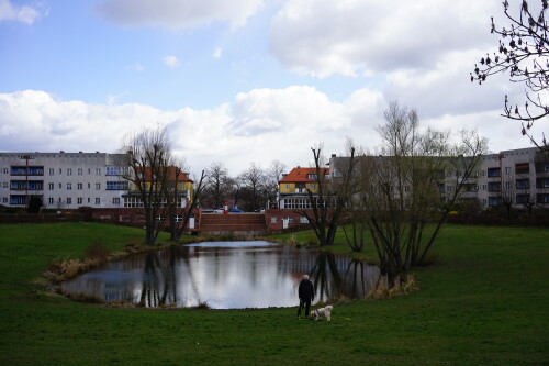 DSC00574-1.jpg