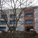 DSC00579