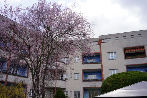 DSC00585-1.jpg
