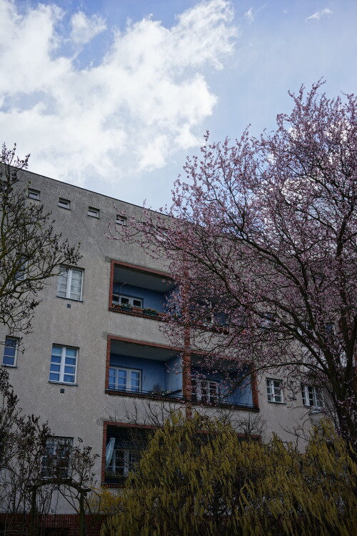 DSC00586-1.jpg