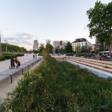 DSCF7238-Verbessert-RR-Bearbeitet