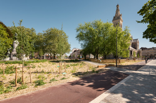 P1024336.jpg