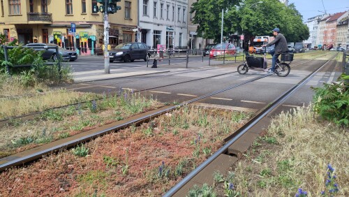 Rasengleis_Berlin_Torstrasse.jpeg