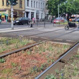 Rasengleis_Berlin_Torstrasse
