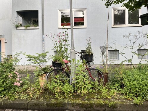 Duisburg-Neudorf-Sud.jpeg