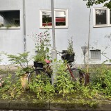 Duisburg-Neudorf-Sud