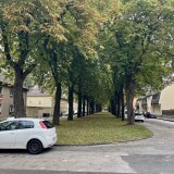 IMG_5687