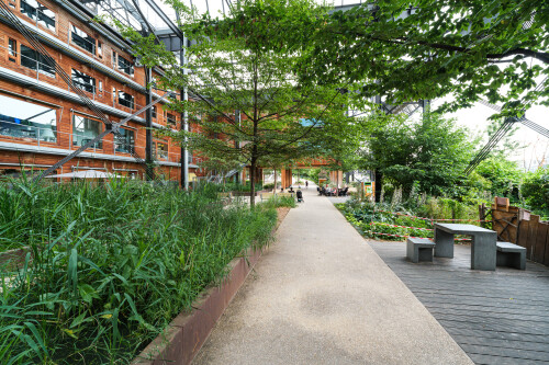 DSCF6080.jpg