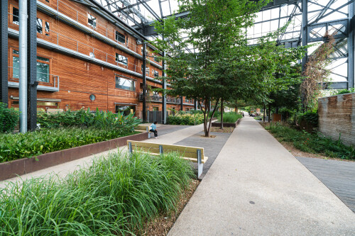 DSCF6081.jpg
