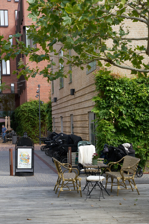 2026-Odense_YTR014.jpg