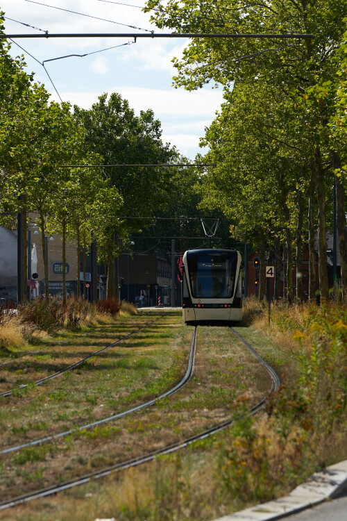 2026-Odense_YTR070.jpg