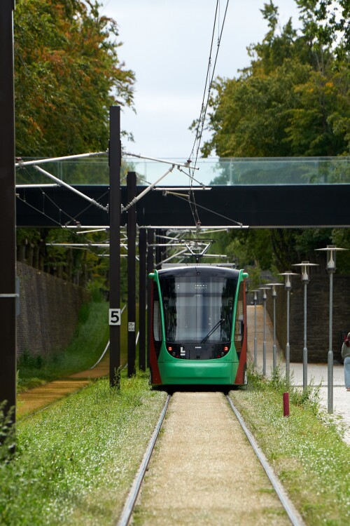 2026-Odense_YTR178_crop.jpg