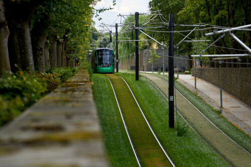 2026-Odense_YTR190.jpg